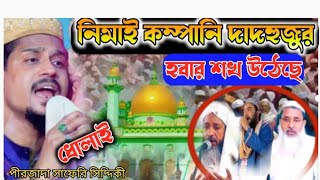 নিমাই কম্পানি দাদহুজুর হবার শখ লেগেছে পীরজাদা সাফেরি সিদ্দিকী ধোলাই ওয়াজ pirzada Safari Siddiquiwaz