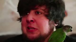 JonTron stop meme