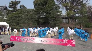 2019 京都さくらよさこい 2日目 二条城会場 夢源風人その2