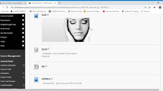 creating the portfolio assignment in Blackboard