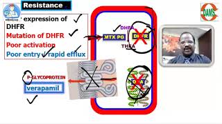 Anticancer drugs - ANTIMETABOLITES by Dr Thirunavukkarasu Jayaraman DAMS Faculty