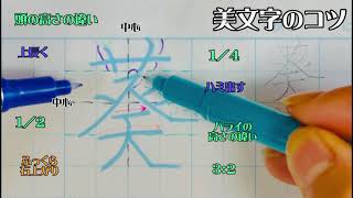 【ペン習字】美文字プロセスの見える化Part724「葵」名前編