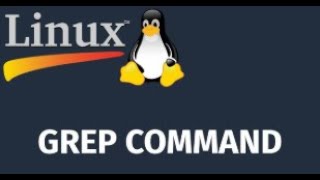 Bash Script: Eps20 GREP COMMAND