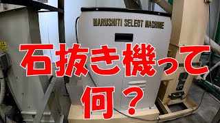 美味しいお米 通販 石抜き機 玄米 信州 飯山 コシヒカリ 幻の米 農家 金崎さんちのお米