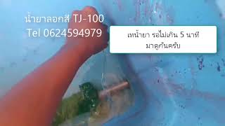 น้ำยาลอกสี Paint Remover TJ 100