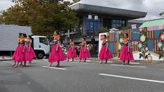 フラダンスPumehana 京都府立大学 京都学生祭典2019