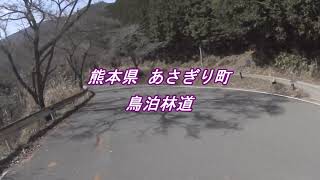 【熊本県　林道】鳥泊林道