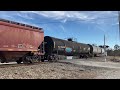 trains very long csx l607 into hamlet yard.