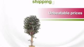 7 foot Red Ficus Tree: Potted - artificialplantsandtrees.com