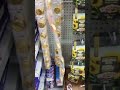 gold chocolate coins grocerystorefinds shorts gold