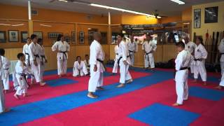 USA Joshinmon Shorin Ryu Karate Do