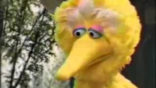 Sesame Street Episode 3325