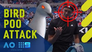 Alexander Zverev's bird poo attack at the Australian Open | Wide World of Sports