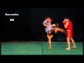 3d duan Wushu Sanda