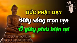 🙏[Chữa Lành] Hãy sống trọn vẹn từng giây phút hiện tại | Radio Nghe Để Ngẫm