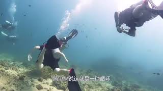 逆天发明：这套衣服能让人类在水下呼吸，人类将移居海底吗？[720P版]