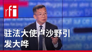 驻法大使卢沙野引发大哗 • RFI 华语 - 法国国际广播电台