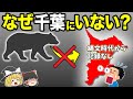 【千葉の秘密】本州で唯一クマが生息しない理由がこちら！【地理ふしぎ】