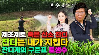 죽어가는 잔디 살리기 제초제 과다사용으로 죽은 산소 잔디 과연 다시 살아날 수 있을까?