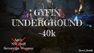 Gyfin Underground 40k Trash/Hour | BDO