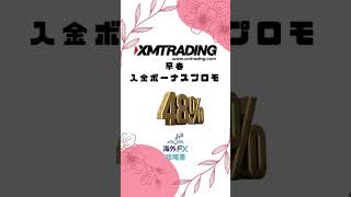 XMTradsing 入金100%ボーナス開催中　2024.2.29まで❗