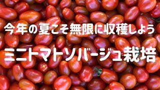 成功するための１番最初の１番大事なポイントです