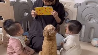 絵本を見る3つ子の赤ちゃん　しかしよく見ると「完全に四つ子」「可愛すぎる」「溶け込みすぎ」agjlyrhk