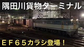 ［EF65-2127 カラシ登場！］貨物列車お見送り＆入換作業を見ようin隅田川貨物駅 2023.2.11【おり】