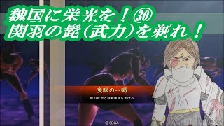 魏国に栄光を！㉚【関羽の髭（武力）を剃れ！】三国志大戦【隻眼の神速特攻】