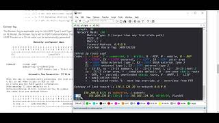 OSPF Downward Bit (DN) and Domain Tag