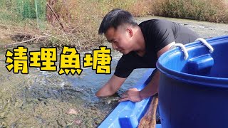 小伙魚塘消毒，明年2個魚塘養四批魚，一年能掙10萬嗎【石頭秀】