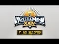 WrestleMania in 60 Seconds: WrestleMania XXIV