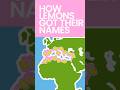 How Lemons Got Their Name #shorts