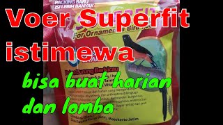 kenapa voer superfit istimewa bisa buat harian dan lomba murai batu