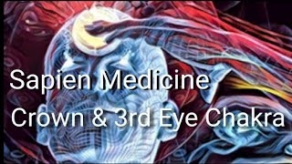 Crown & 3rd Eye Chakra Clearing W/ Growth and Stimulation + Pineal Gland Decalcification