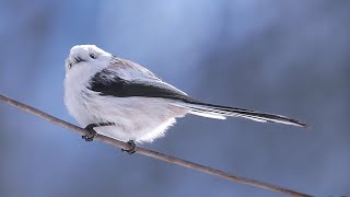 【大サービス♡】カメラの前で1分間\