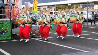 大仏連　2015徳島物産展アピタ大和郡山店1