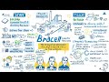 28 how did andritz tackle the challenge of building two world leading mills for bracell in brazil