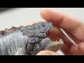 How to Make a SEA MONSTER  Resin Art  Polymer Clay
