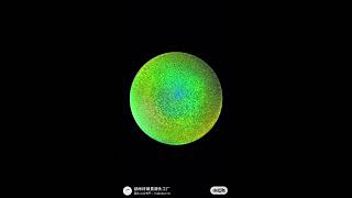 Principles and Applications of Cellulose Nanocrystal Self-Assembly into Structural Color