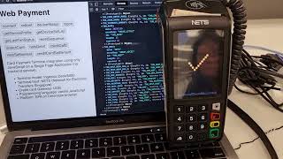 Visa Mastercard payment using JavaScript API