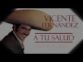 vicente fernández negra cruz cover audio