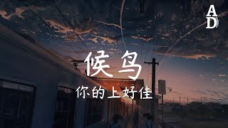 候鳥 - 你的上好佳『可惜我只是隻候鳥 棲息 在你的冬季』【高音質/動態歌詞/Pinyin Lyrics】