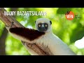 Mamy Razafitsalama | Sir David Attenborough presents 2023 Whitley Award winner | Madagascar