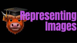 Bitmap vs Vector Images - SQA Higher Computing Science