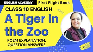 A Tiger in the Zoo Class 10 CBSE NCERT Poem 3 explanation, meanings, poetic devices