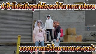 ปะป๊าโนรินถึงจุดที่ต้องรอให้นายกมาปลอบ ขออนุญาตแจ้งใบนายกนะคะOCค่ะ| EP.118