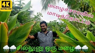 LIVE: மழைச்சாரலில் மாடித்தோட்டம் l October month update l Gardener Vinu