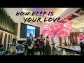 How Deep Is Your Love by Music Avenue Live at Intercontinental Hotel