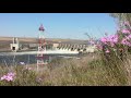 Snake River Dams - Controversy